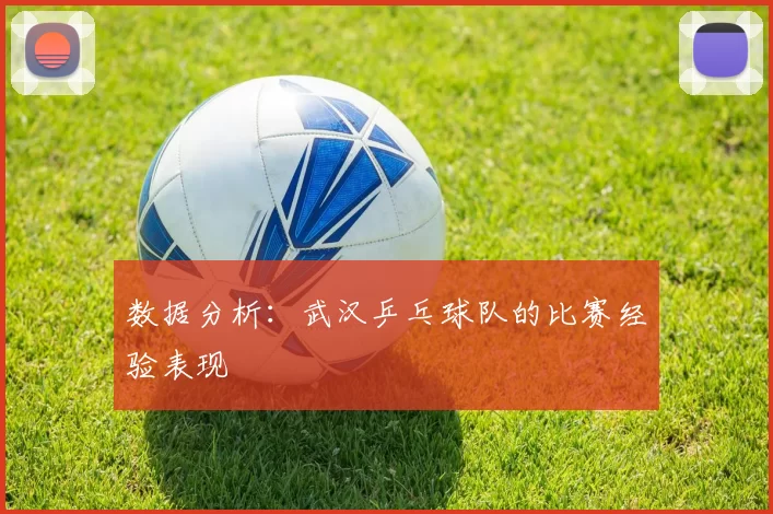 数据分析：武汉乒乓球队的比赛经验表现