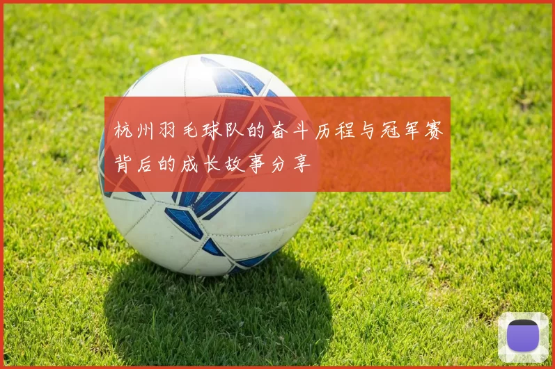 杭州羽毛球队的奋斗历程与冠军赛背后的成长故事分享