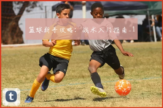 篮球新手攻略：战术入门指南_1