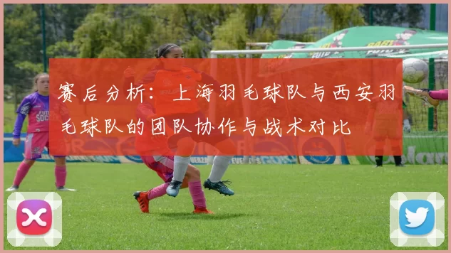 赛后分析：上海羽毛球队与西安羽毛球队的团队协作与战术对比