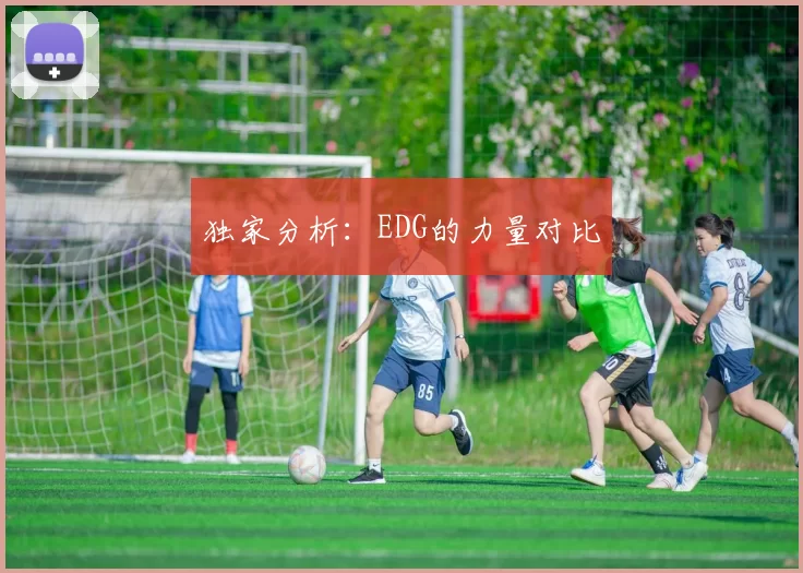 独家分析：EDG的力量对比