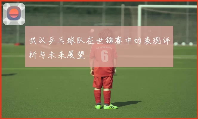 武汉乒乓球队在世锦赛中的表现评析与未来展望