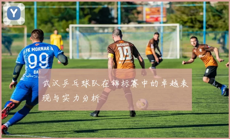 武汉乒乓球队在锦标赛中的卓越表现与实力分析