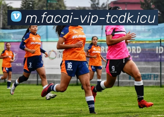 MK体育品牌故事